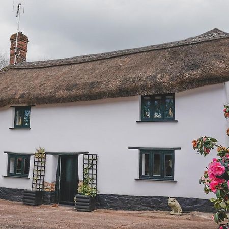 'The Cottage' Okehampton Buitenkant foto