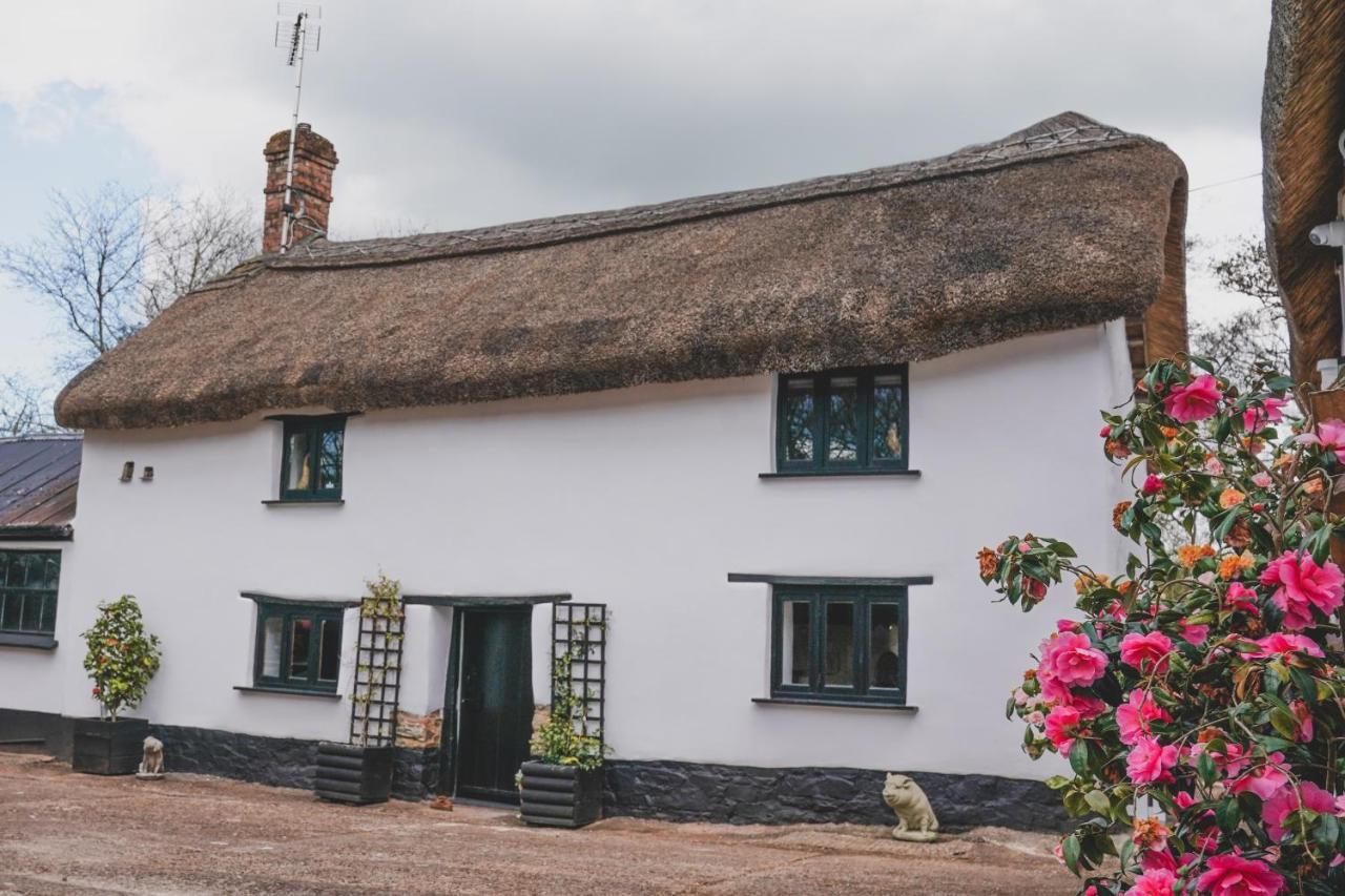 'The Cottage' Okehampton Buitenkant foto