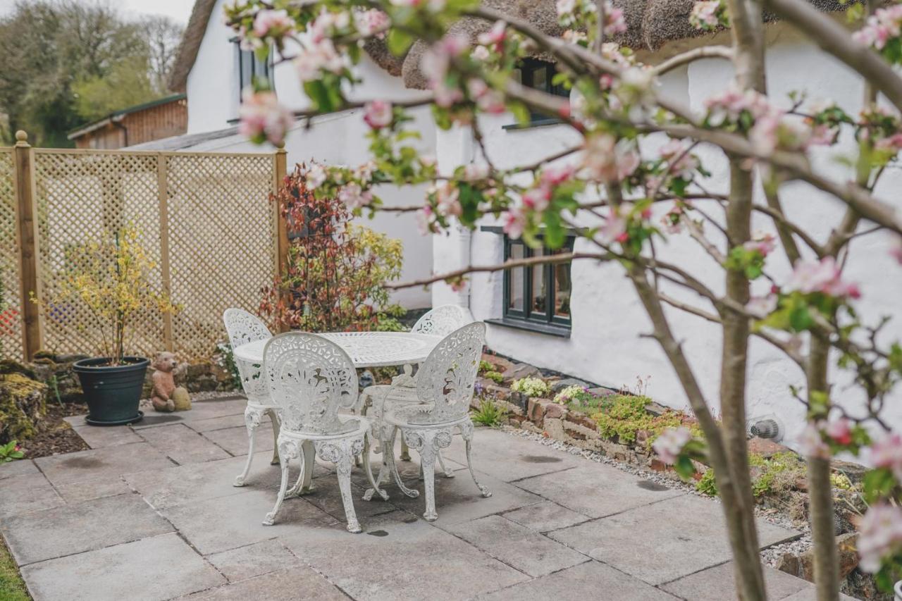 'The Cottage' Okehampton Buitenkant foto