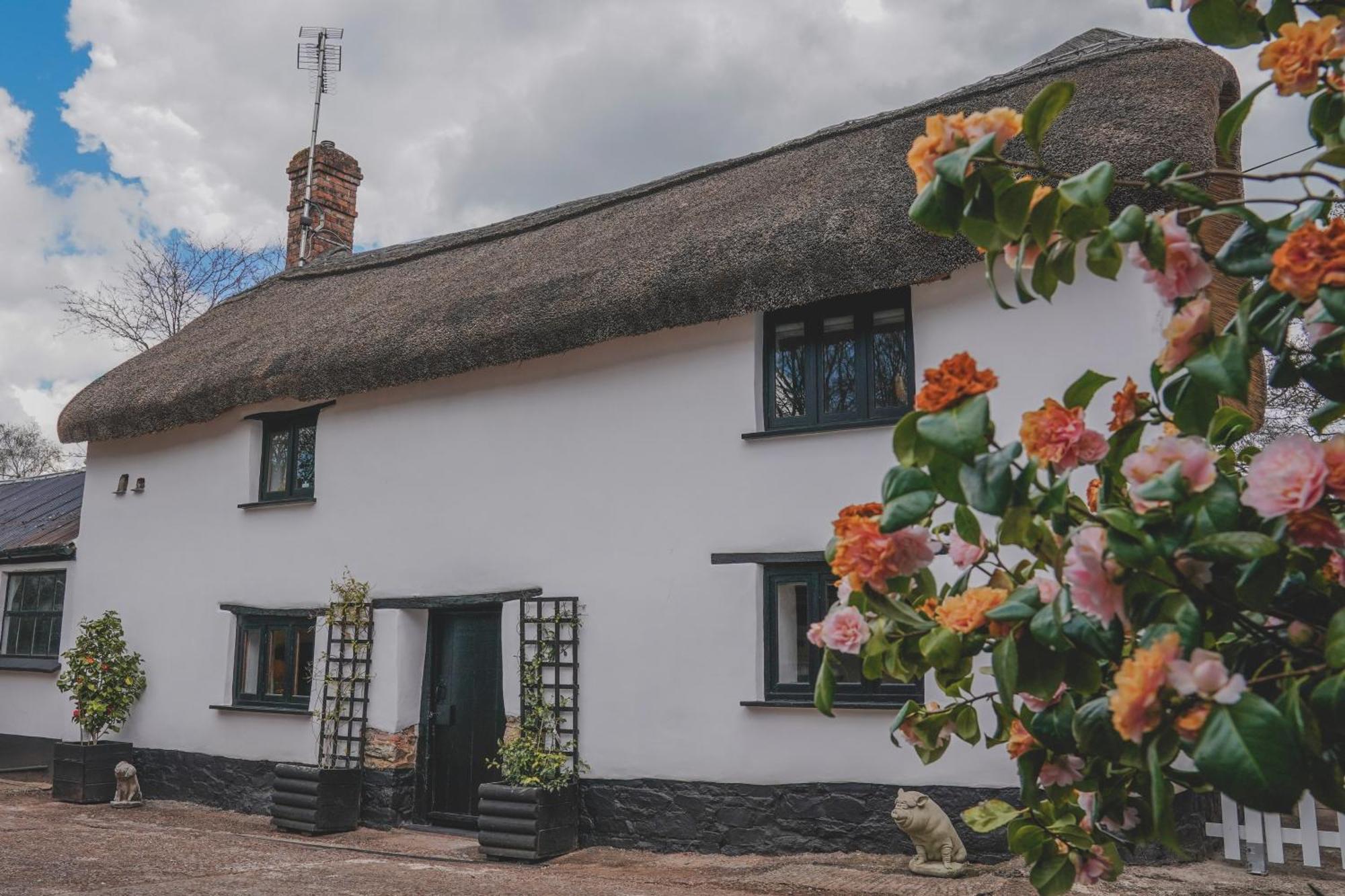 'The Cottage' Okehampton Buitenkant foto